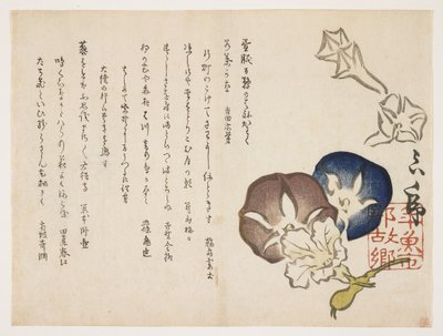 Morning Glories, c.1830 by Ishi Matora